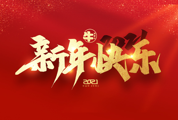 麗水市威儀自動(dòng)化技術(shù)有限公司祝全國(guó)人民2021年新年快樂！